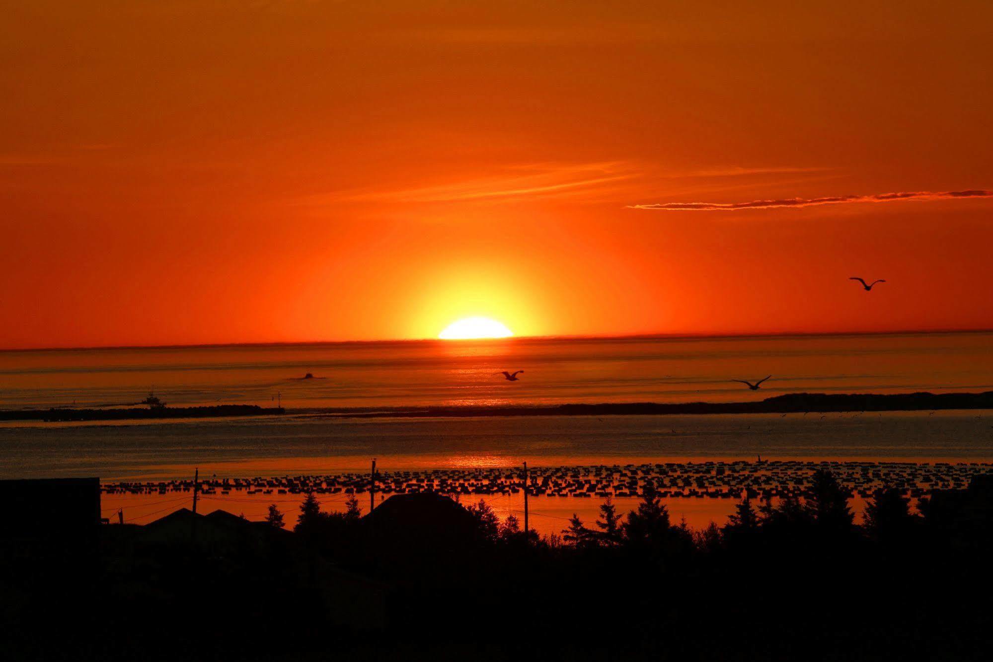 Blue Crest Cottages North Rustico Dış mekan fotoğraf